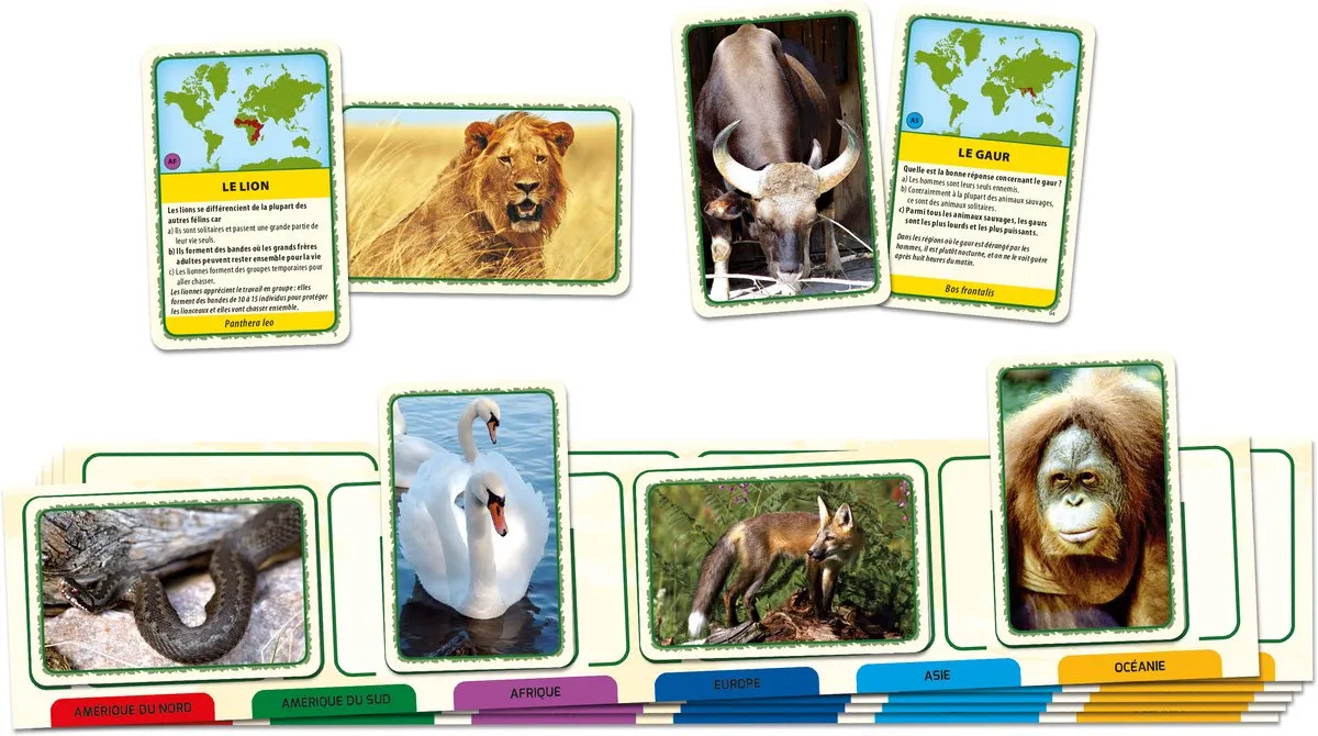 Tactic Animaux du Monde - 6 Spelers