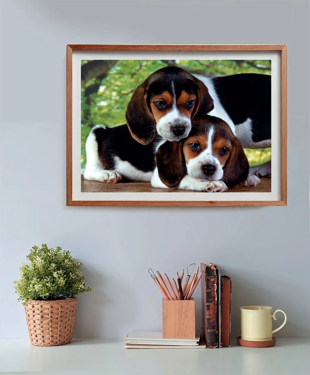 Clementoni Close Together Puzzel 500 Stuks - Multicolor