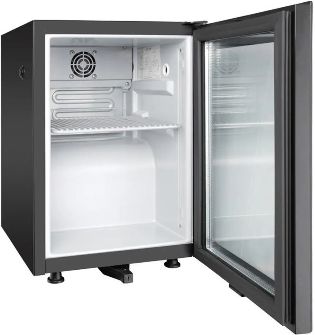 Polar G-Serie Melkkoelkast DB109 20L - Zwart