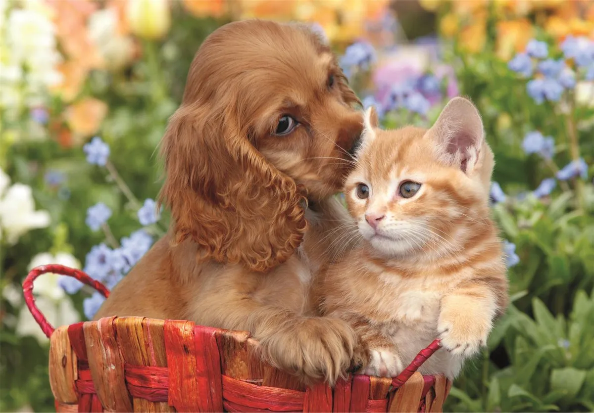 Clementoni Puzzel 104 Stuks Puppy & Kitten - Multikleur