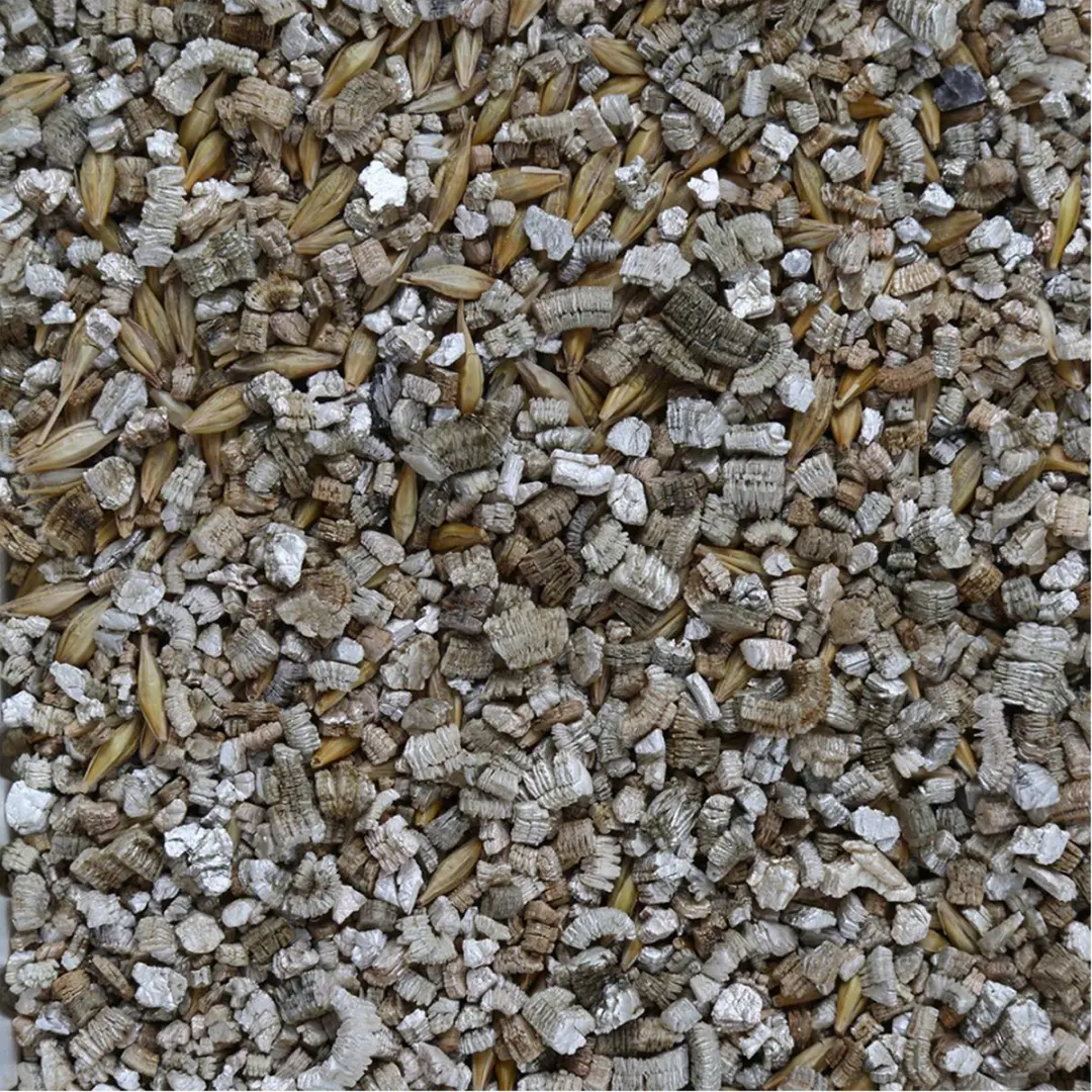 GimCat Soft Gras Kattenkruid 100g