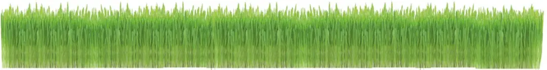 GimCat Soft Gras Kattenkruid 100g