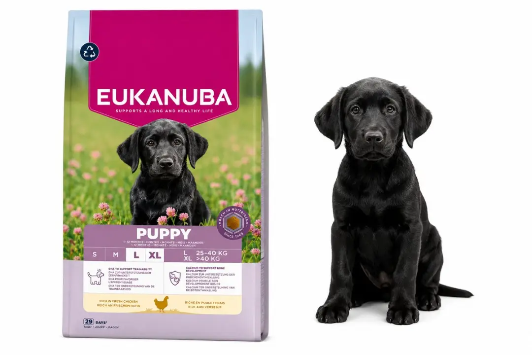Eukanuba Puppy Hondenvoer Grote Rassen Kip 18kg