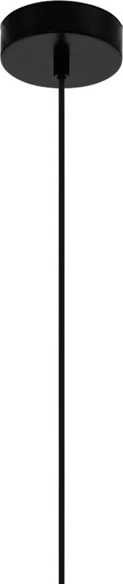 Eglo Carlton 1 Hanglamp - Ø20,5cm - Zwart/Koper