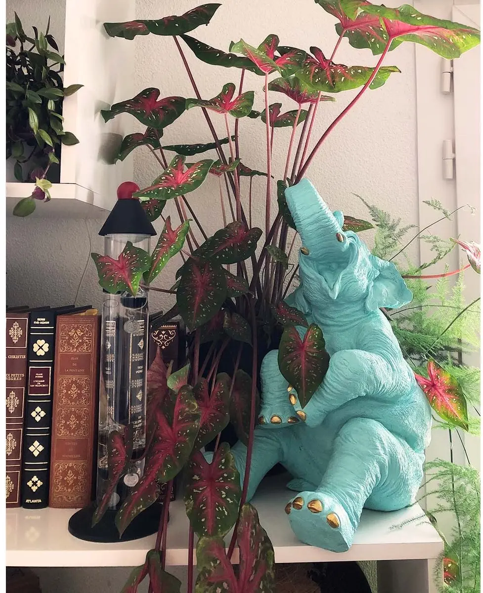 Kare Spaarpot Happy Elephant - Goud/Turquoise