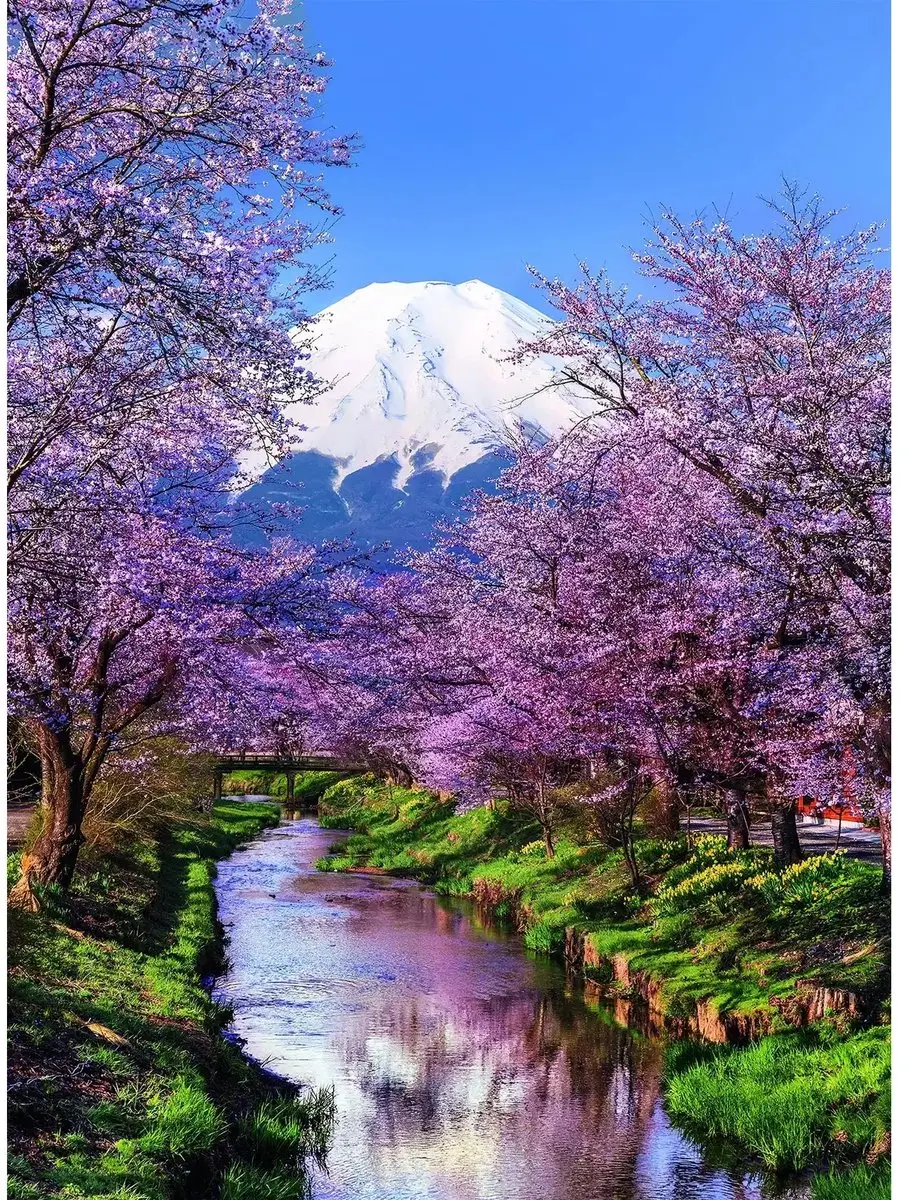 Clementoni Fuji Mountain Puzzel 500 Stuks - Divers