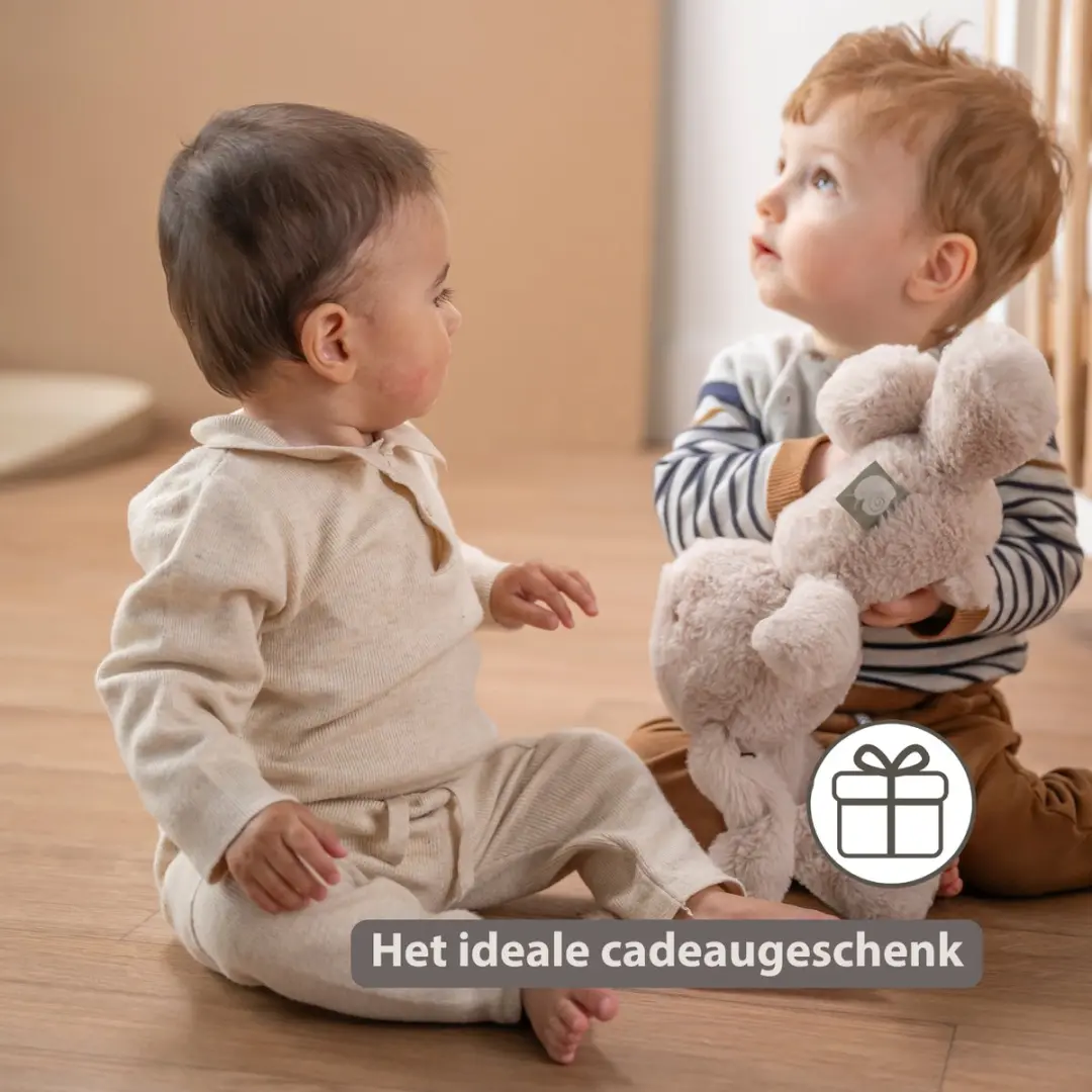 Nattou LouLou Knuffel Konijn 30cm - Zand