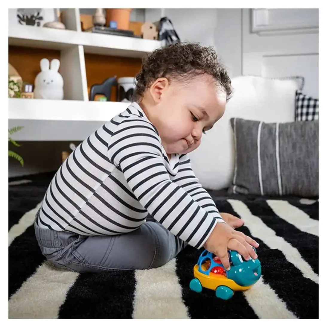 Baby Einstein Oball Rammelaar Neptune - Multicolor