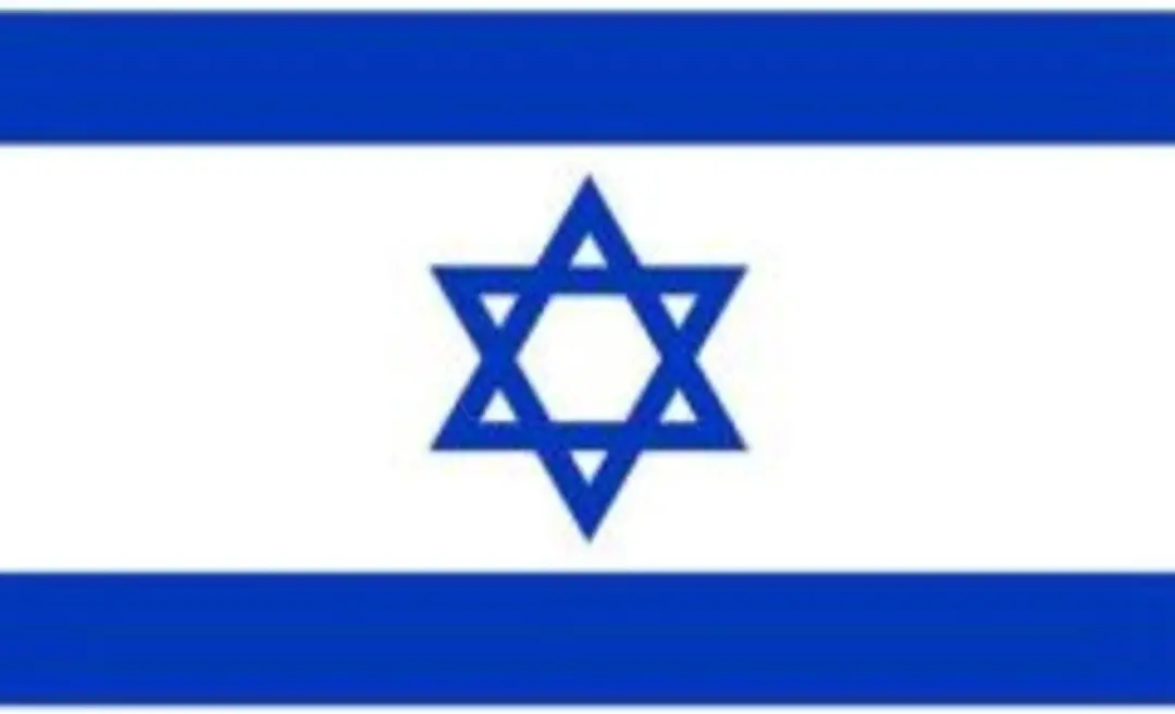 Espa Israëlische vlag stof 150x90cm - Grijs/Wit - afbeelding 2 van 2