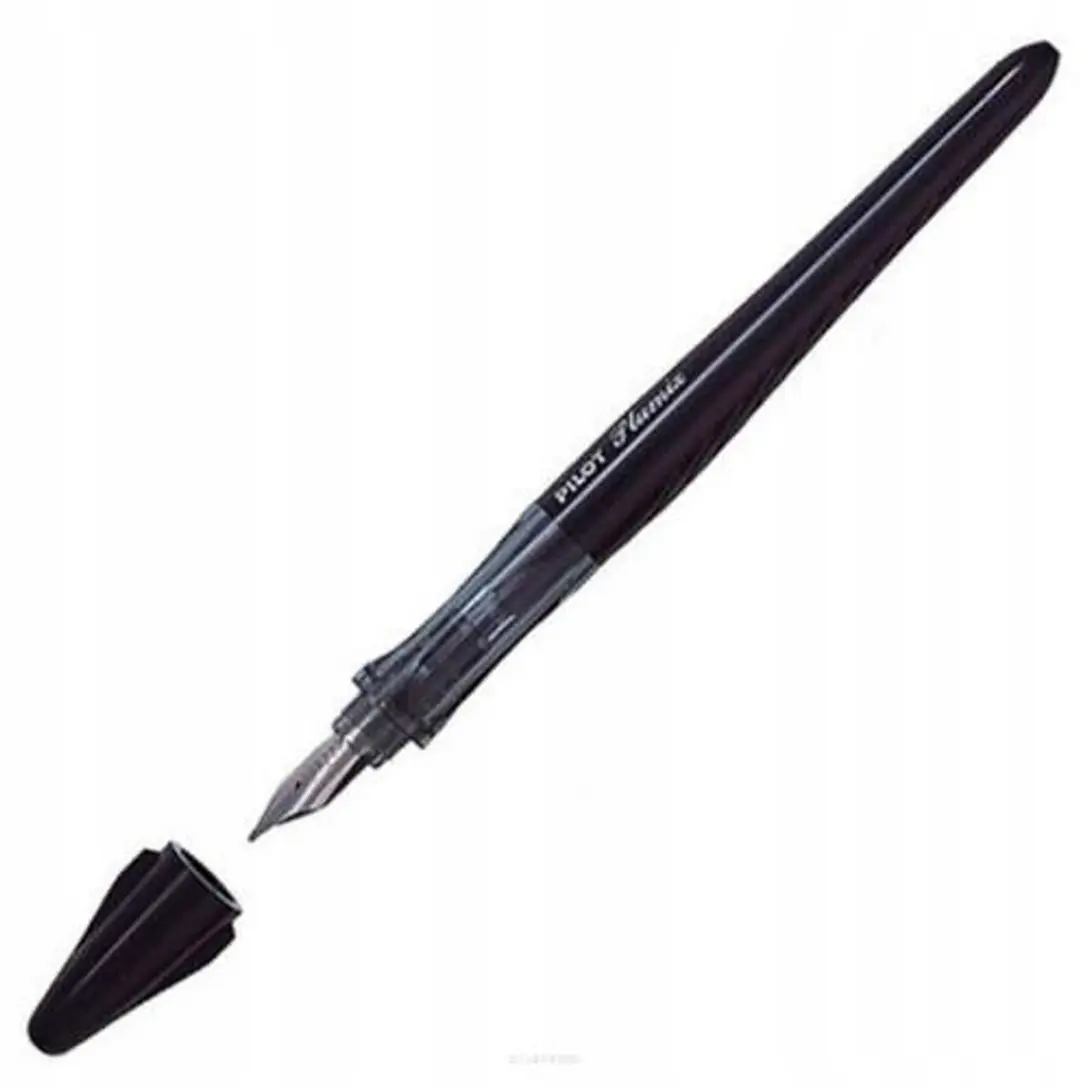 Pilot Plumix Kalligrafie Pen EF