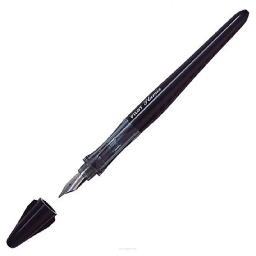 Pilot Plumix Kalligrafiepen BB 1.0mm - Zwart