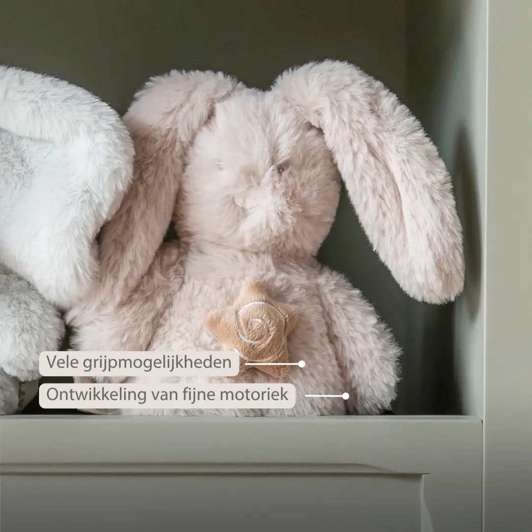 Nattou LouLou Muziekknuffel Konijn 20cm - Zand