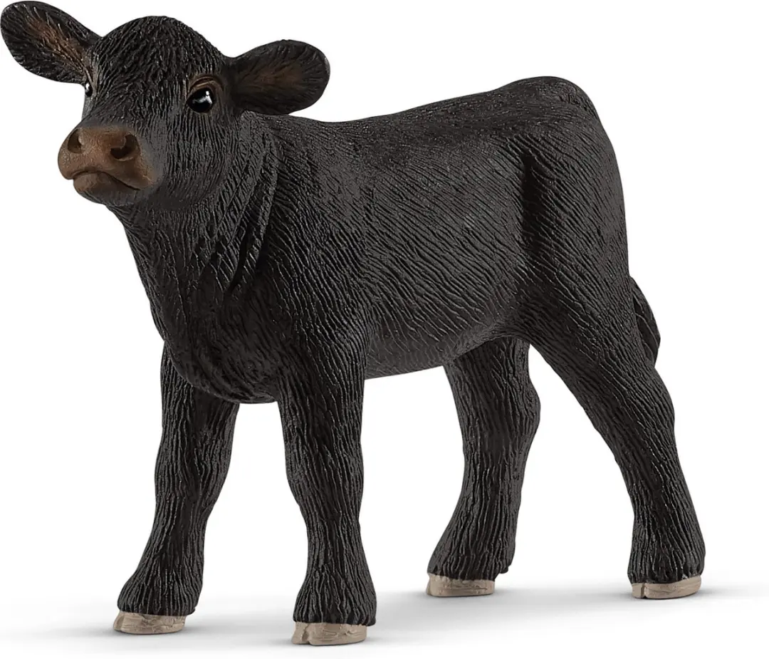 Schleich Angus Kalf 13880
