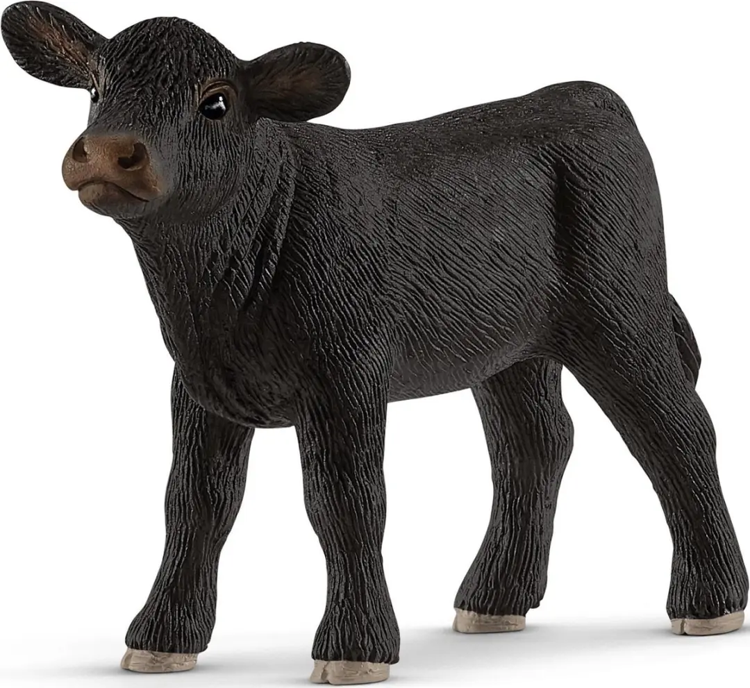 Schleich Angus Kalf 13880