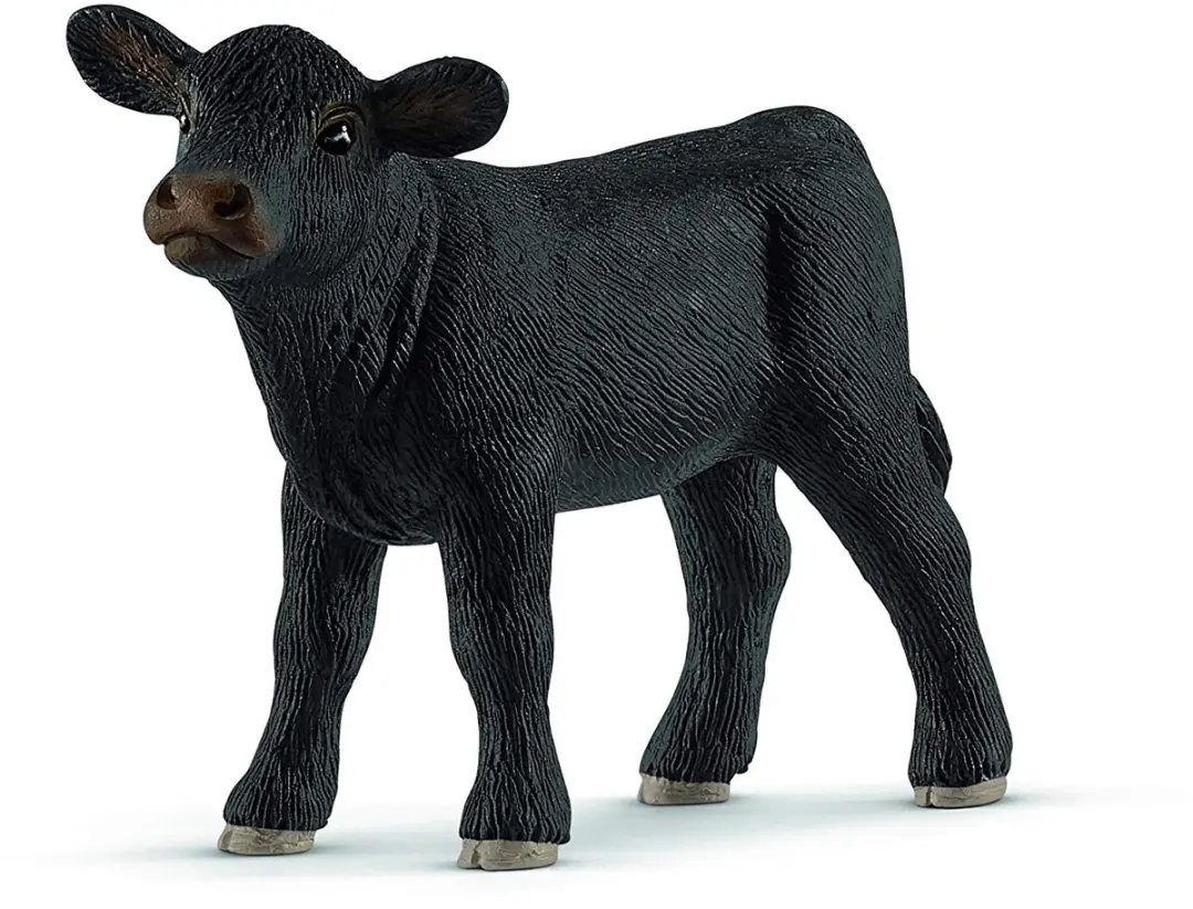 Schleich Angus Kalf 13880