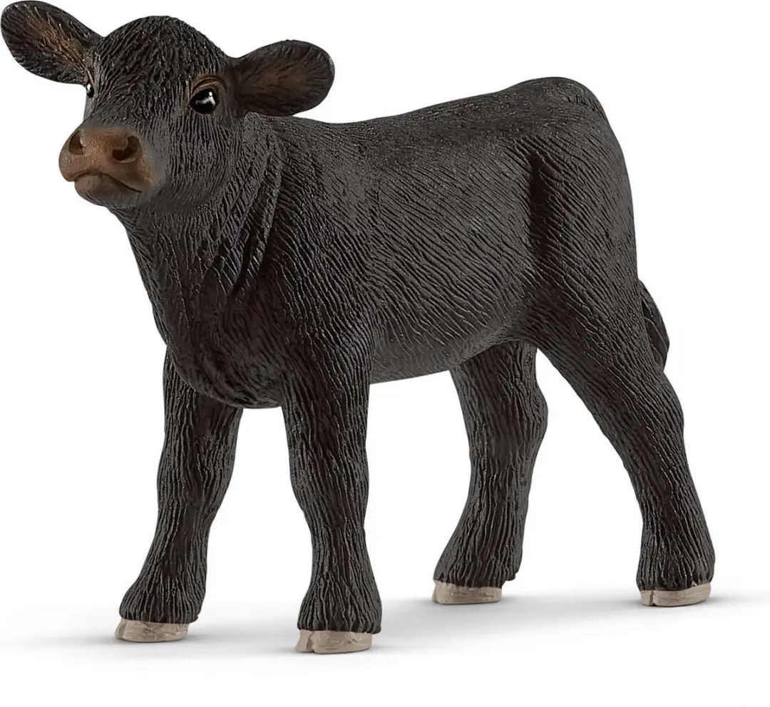 Schleich Angus Kalf 13880 - afbeelding 6 van 6