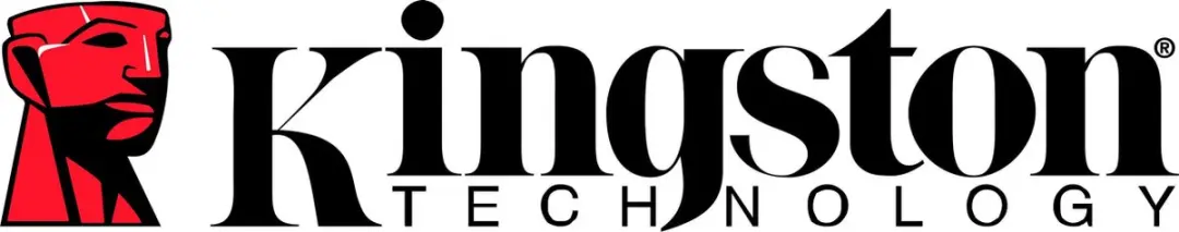 Kingston FURY Beast KF432C16BB/32 Geheugen - 32GB 3200MHz CL16