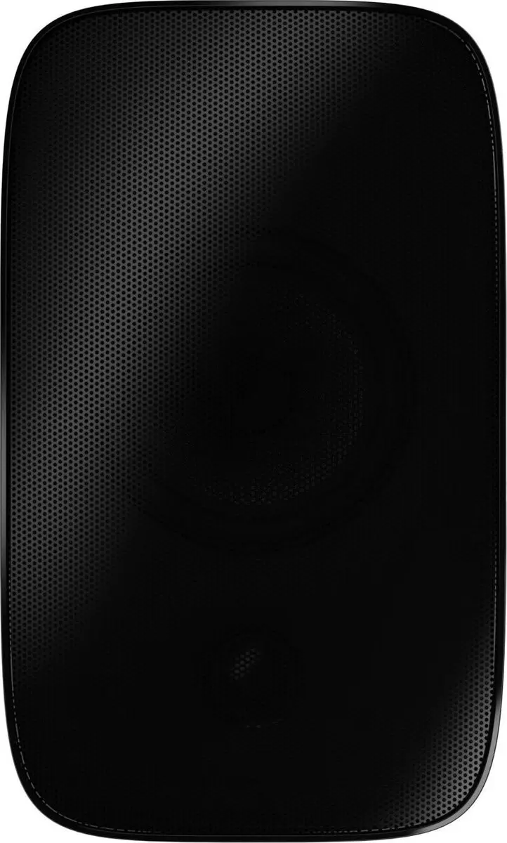 Bowers & Wilkins AM-1 Buiten Speaker - 100W - Zwart - afbeelding 6 van 6