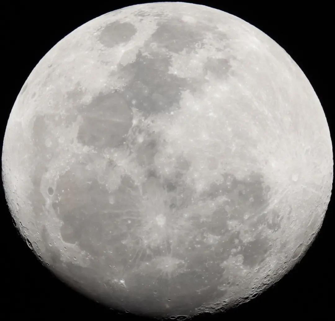 Canon RF 200-800mm f/6.3-9.0 IS USM Telelens