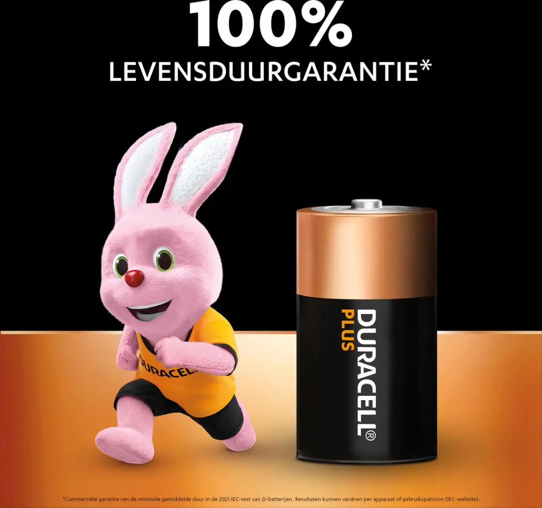 Duracell Plus D-batterijen - 2 Stuks