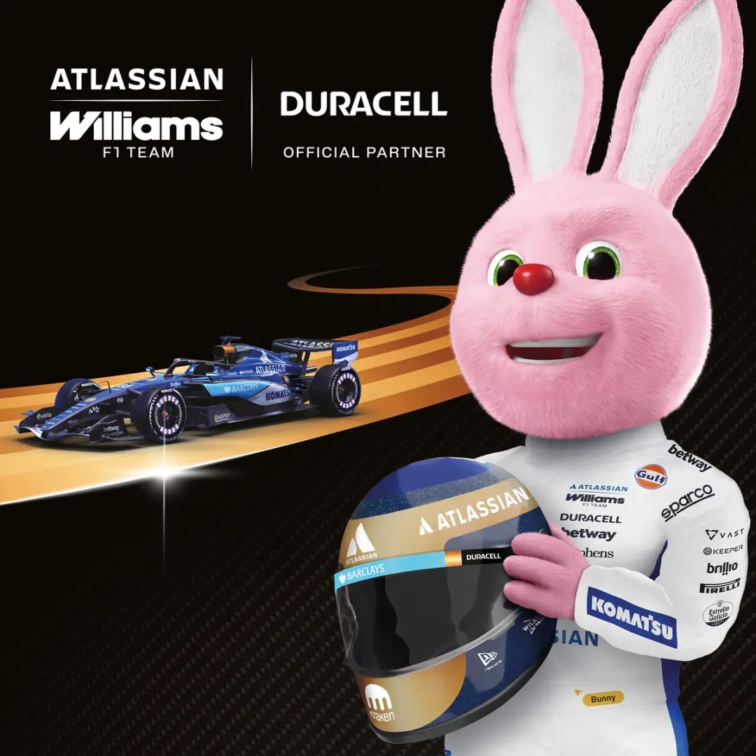 Duracell Plus D-batterijen - 2 Stuks