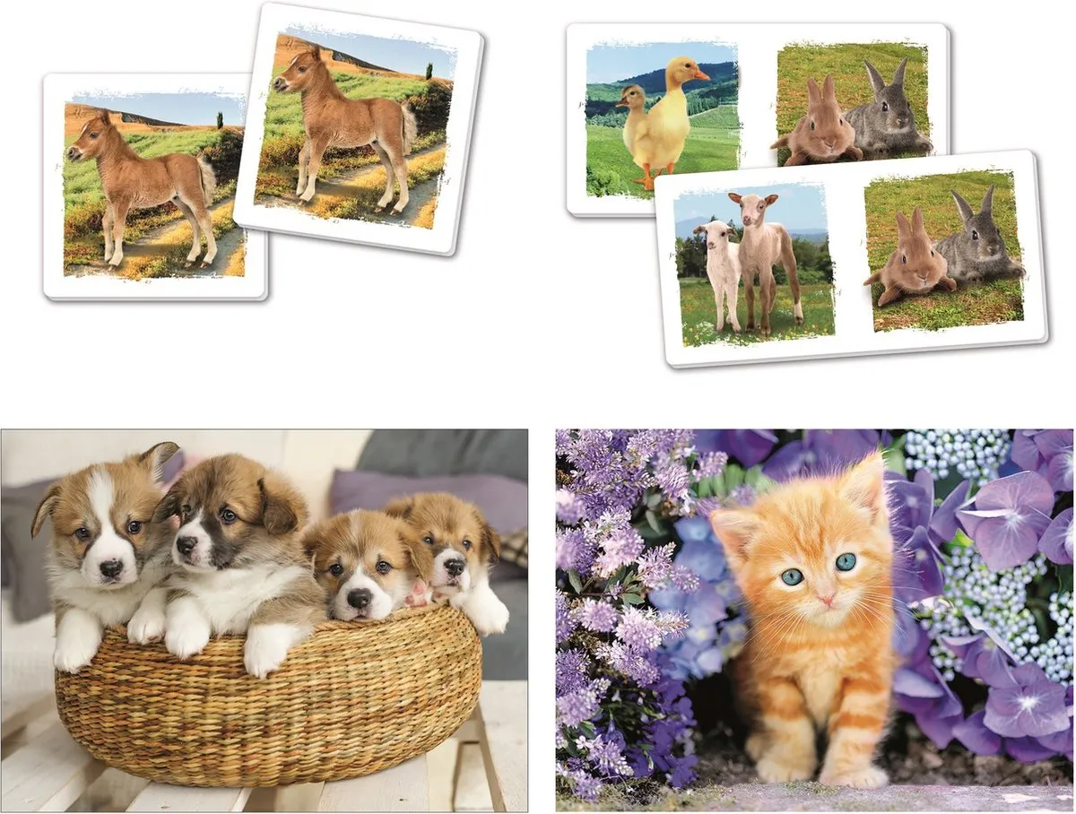 Clementoni Puzzel Superkit Animals 4-in-1 60 Stuks - Multicolor - afbeelding 2 van 3