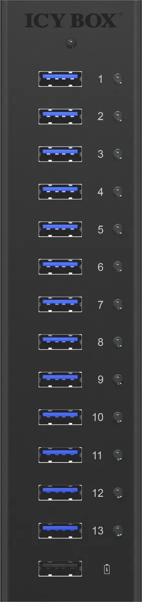 Icy Box IB-AC6113 USB 3.0 Hub - 13 Poorten - Zwart