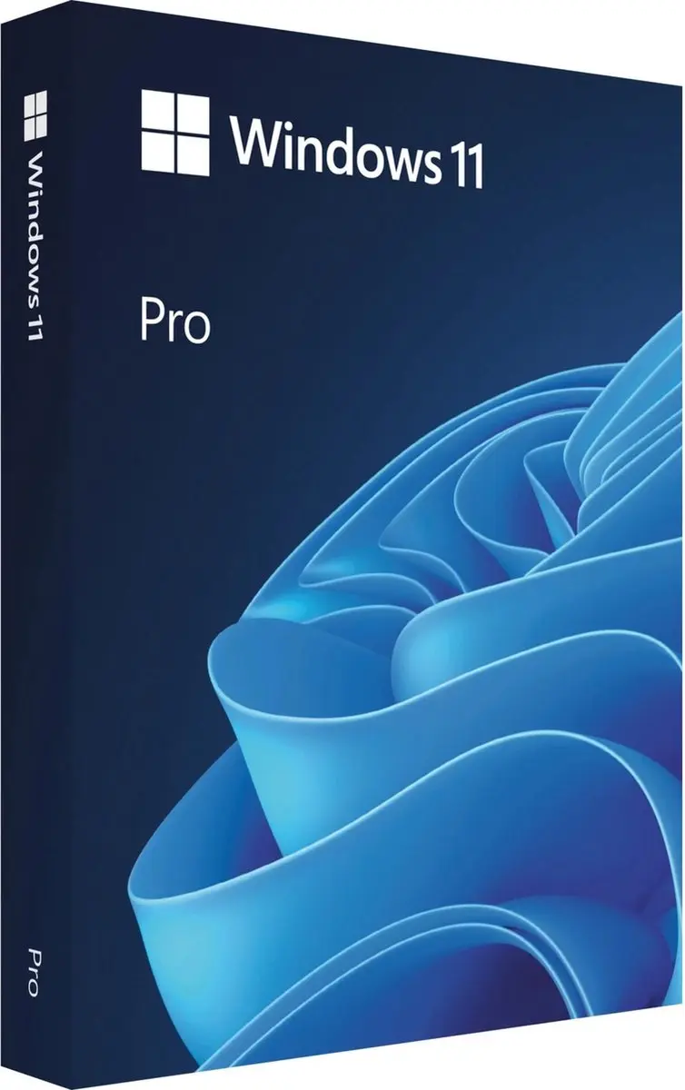 Microsoft Windows 11 Pro HAV-00138