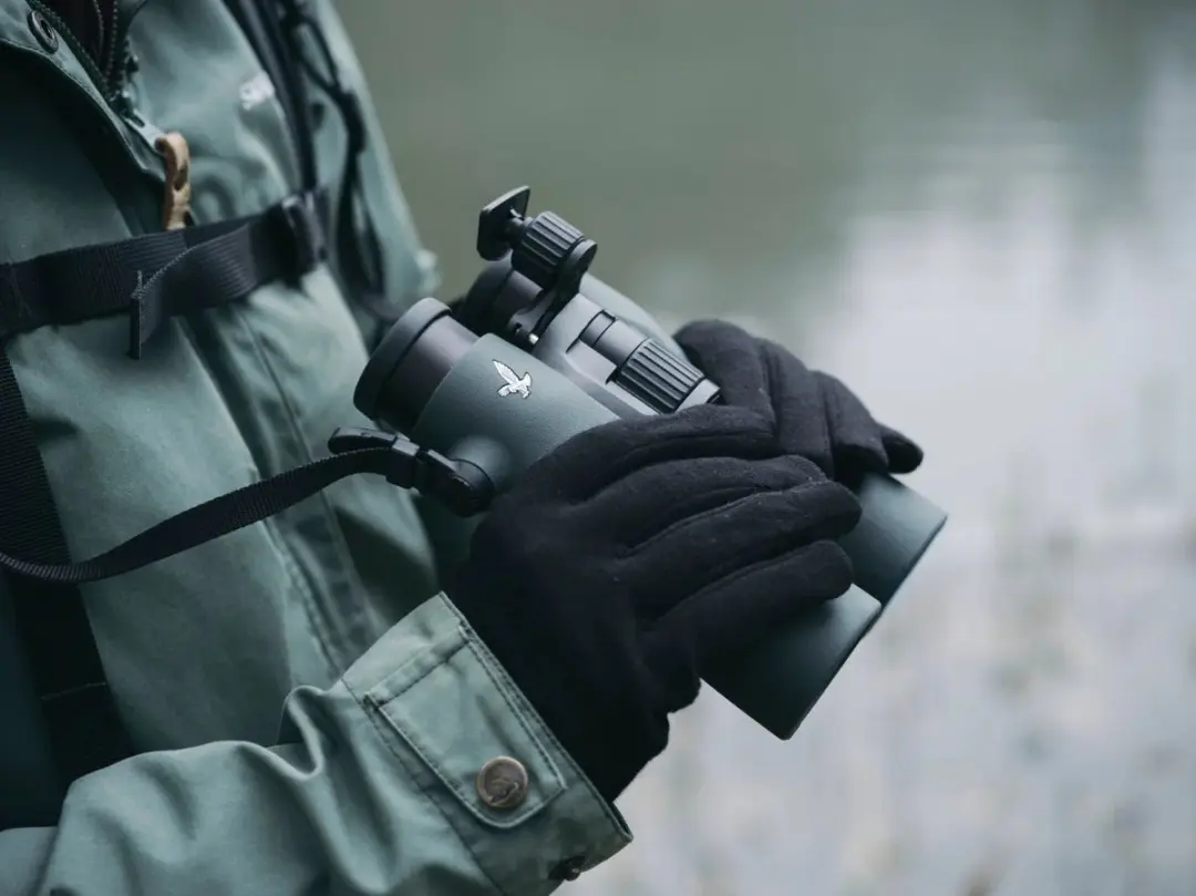 Swarovski NL Pure 8x42 Verrekijker - Zwart/Green