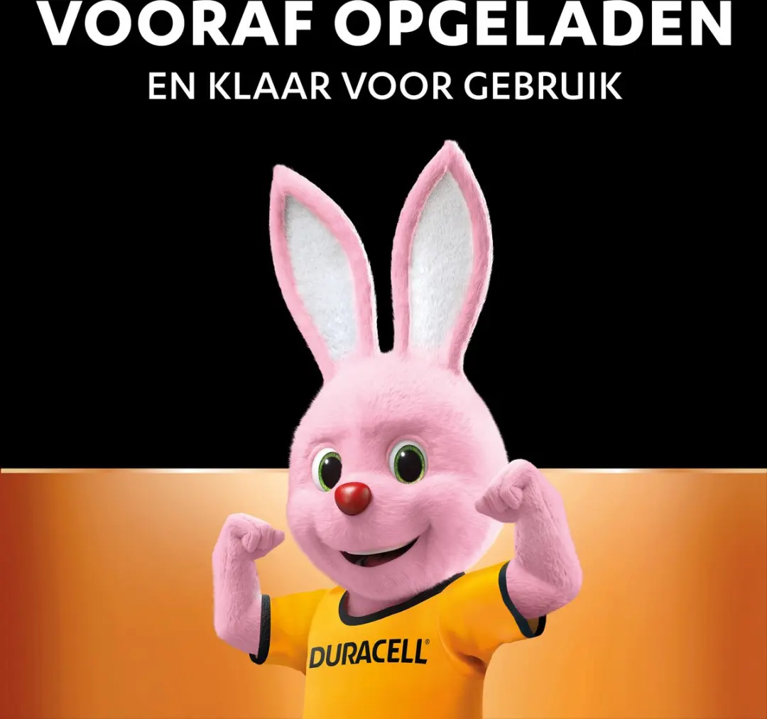 Duracell Oplaadbare AAA Batterijen 750mAh - 4 Stuks