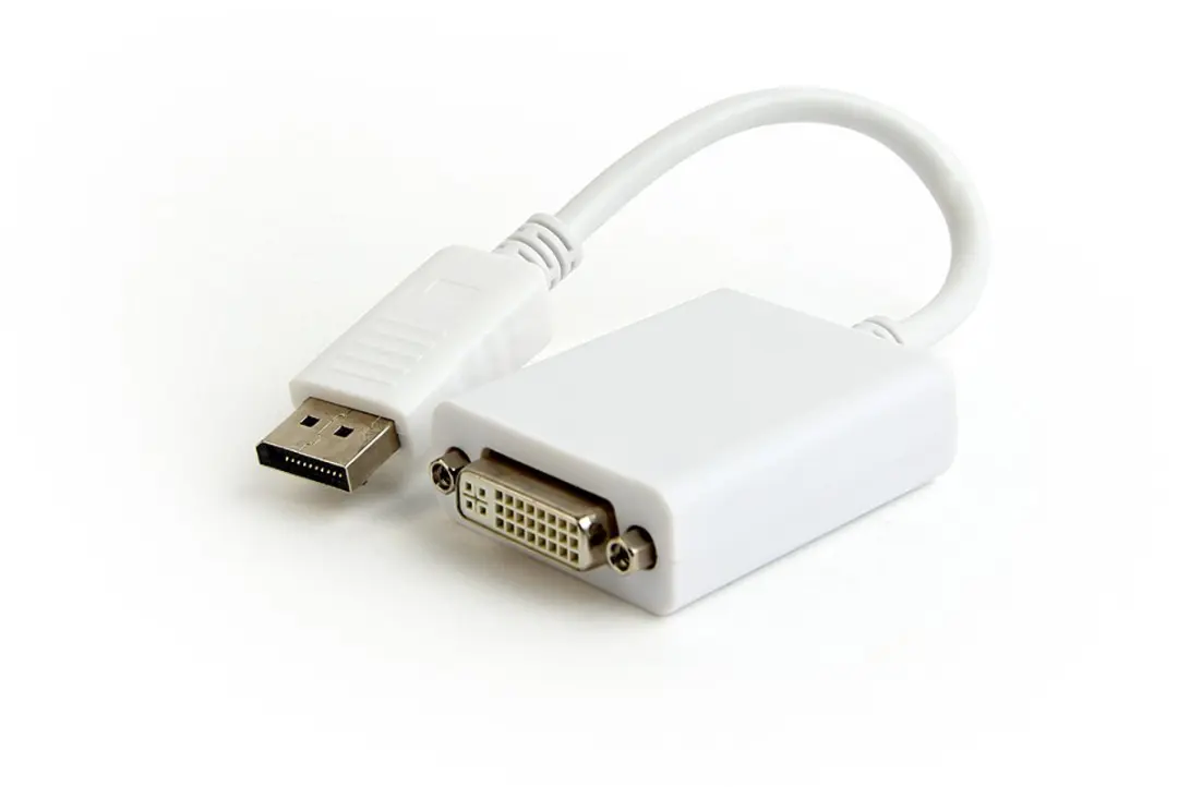 Cablexpert Gembird DisplayPort naar DVI Adapter 0,1m