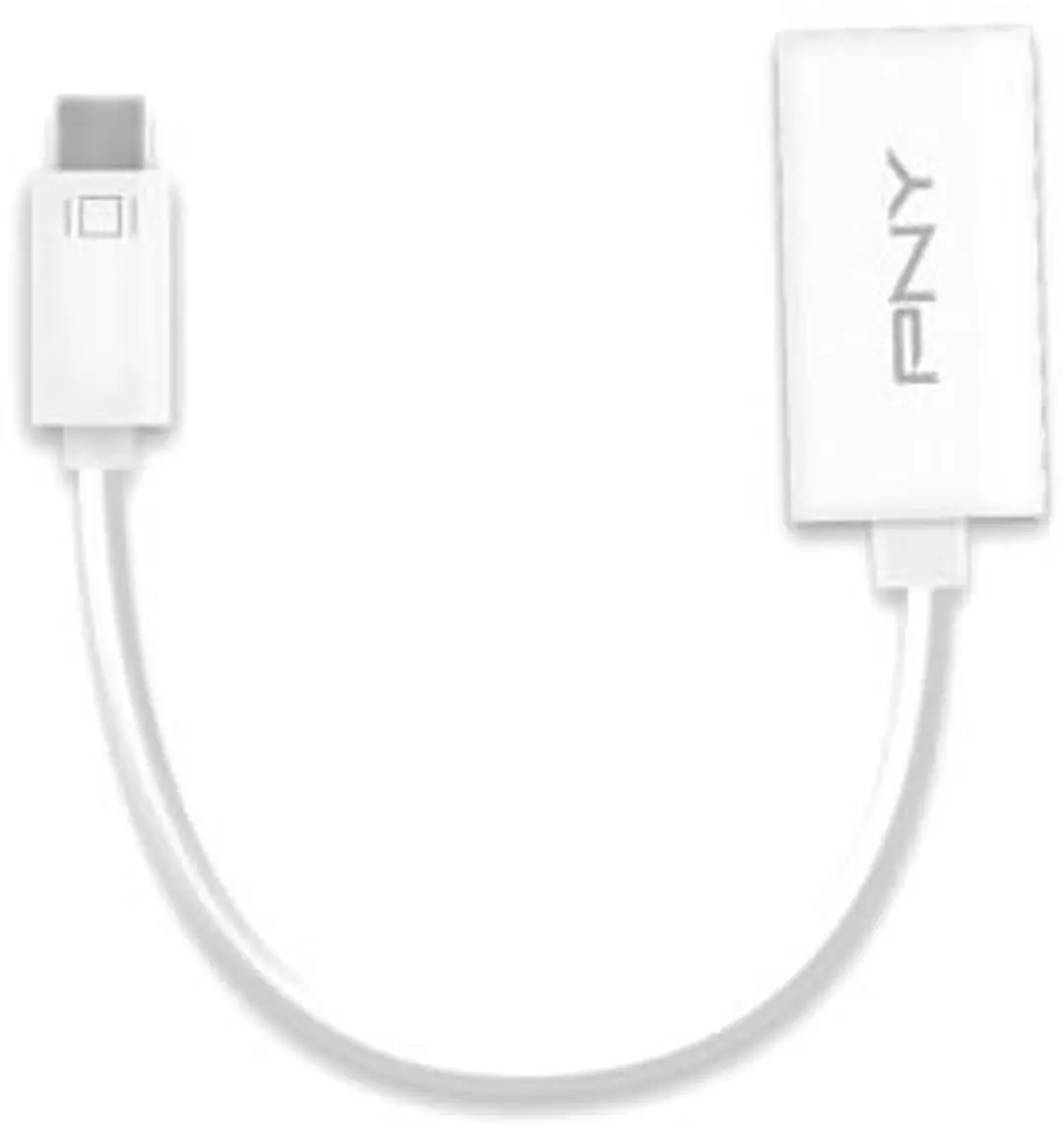 PNY ADMHDW01RB Video Adapter DisplayPort naar HDMI