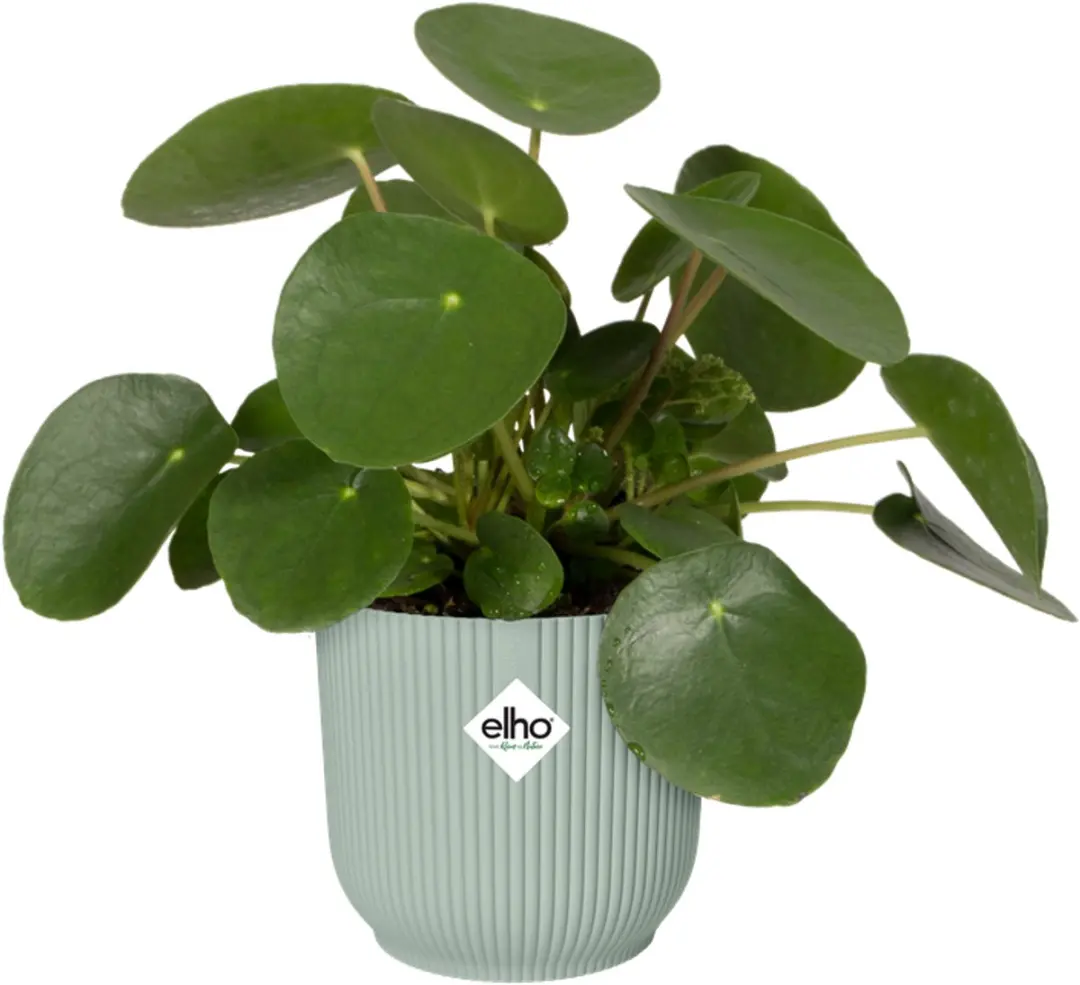 Elho Vibes Fold Rond 18 Bloempot - 3.6L - Sorbet Groen