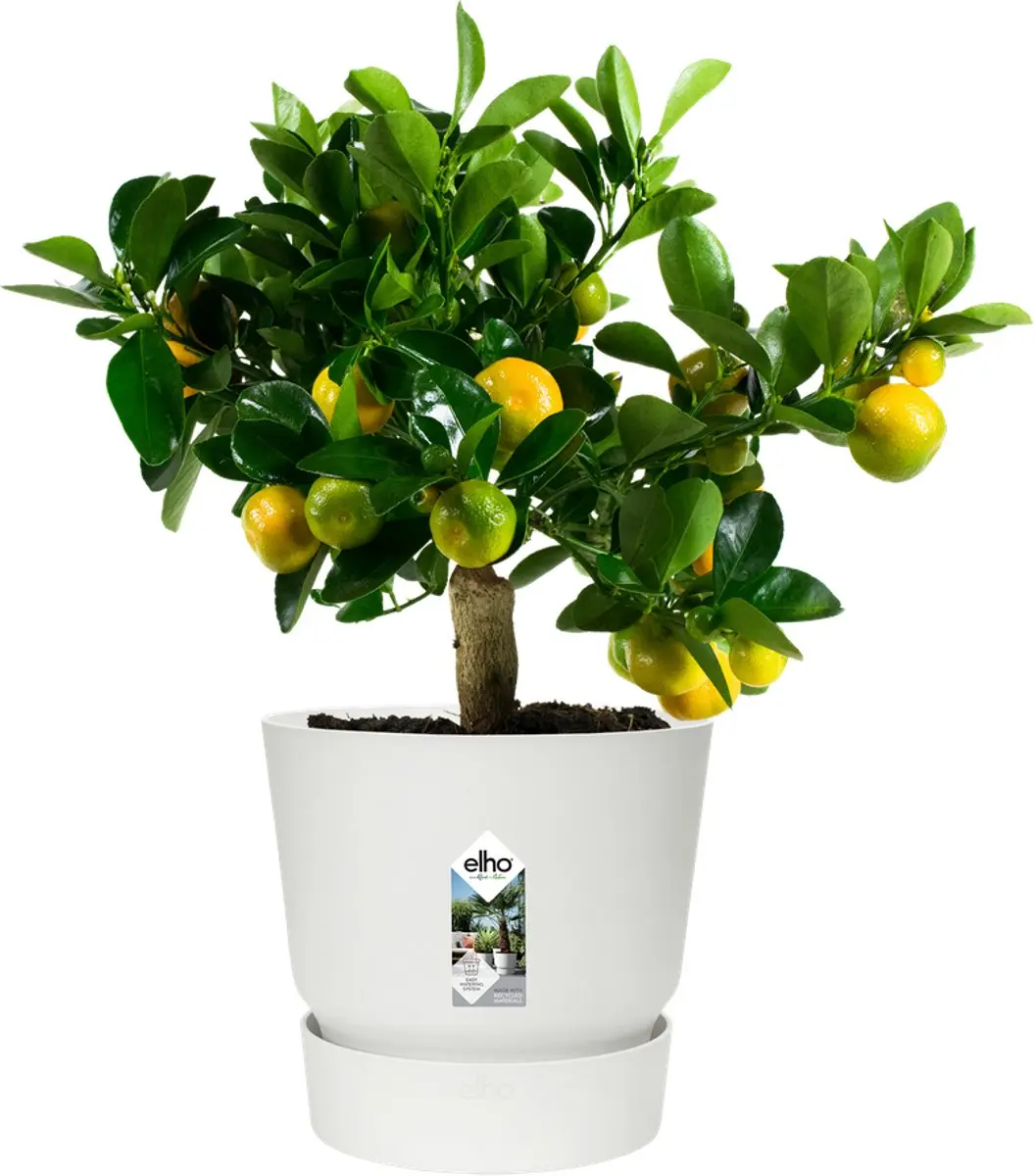 Elho Greenville Rond 30 Bloempot 13.3L - Wit