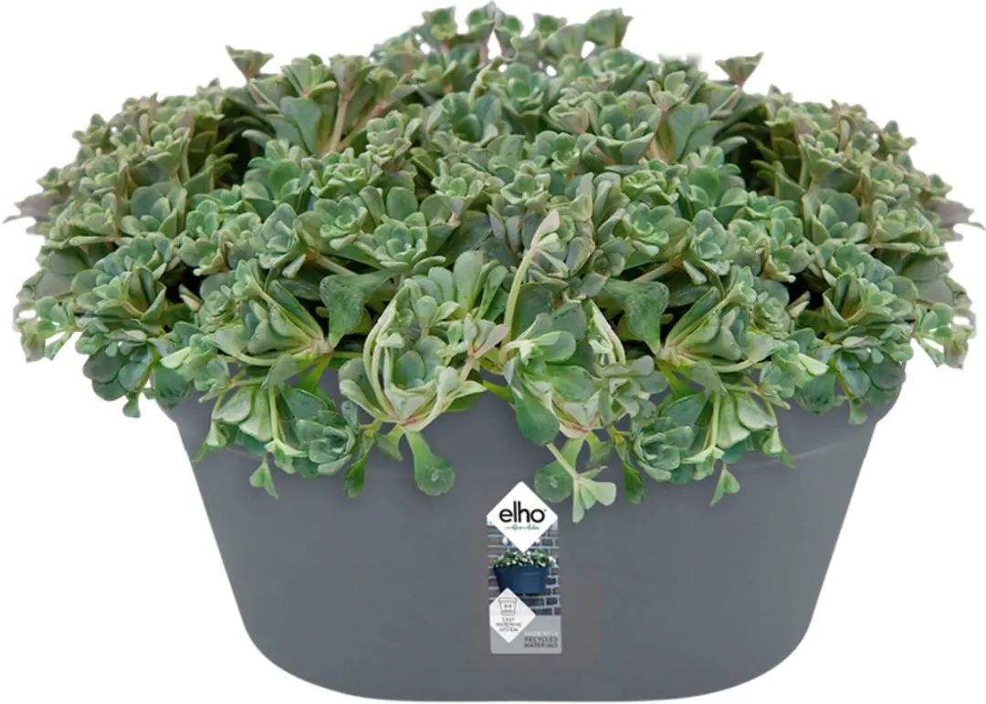 Elho Loft Urban Wandbak 40 - Plantenbak Ø40cm - Antraciet