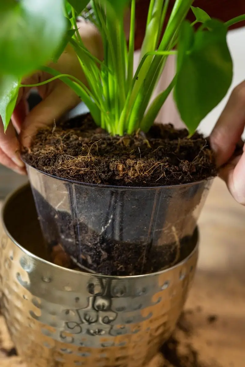 Bloempot Inlay Lucas H19 Transparant Ø28cm - 8L - afbeelding 2 van 3
