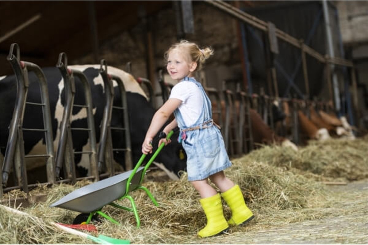 Metalen kruiwagen zilver/groen