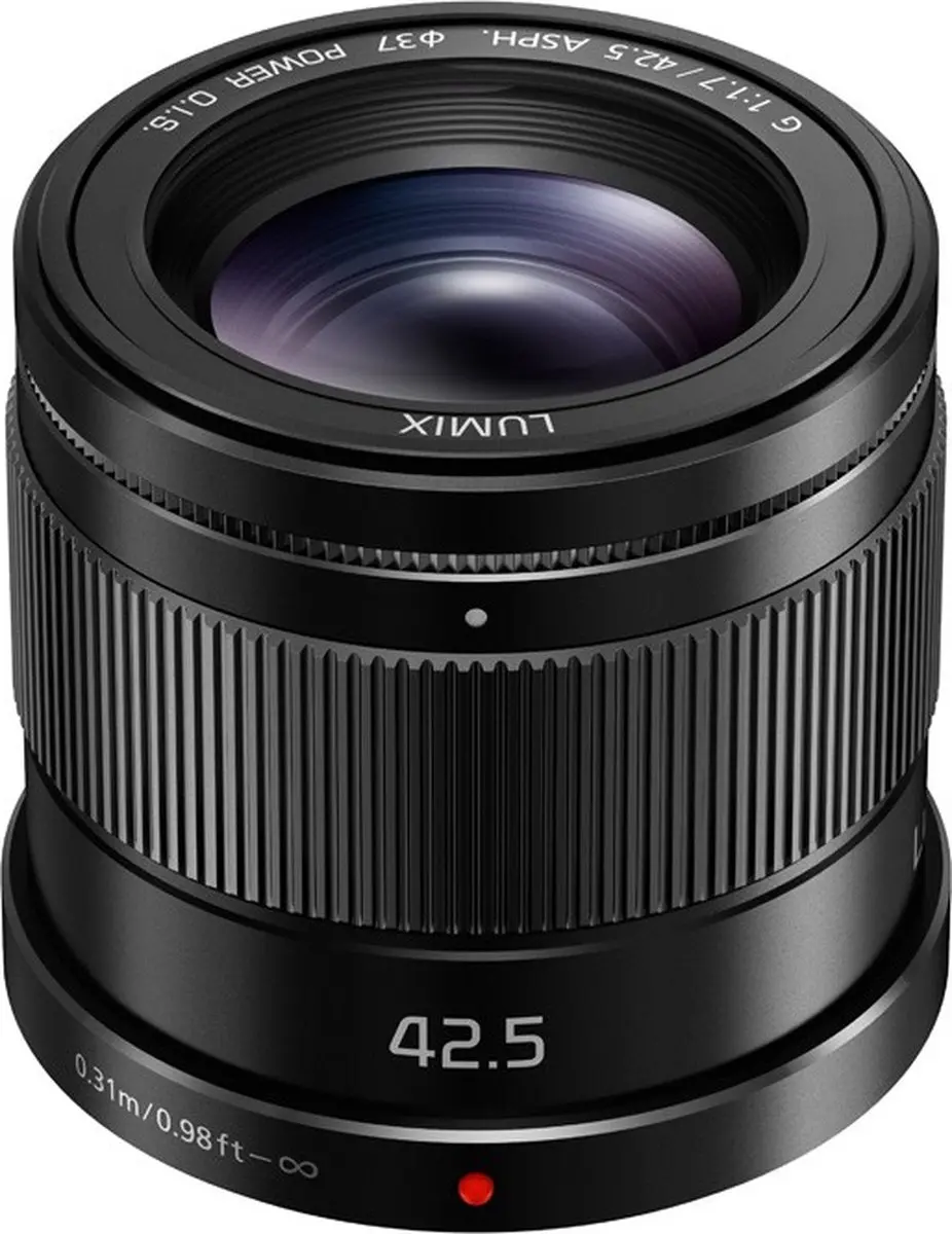 Panasonic H-HS043E MILC Telelens