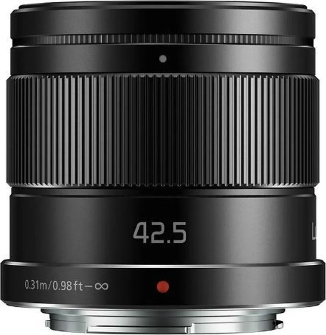 Panasonic H-HS043E MILC Telelens - Zwart