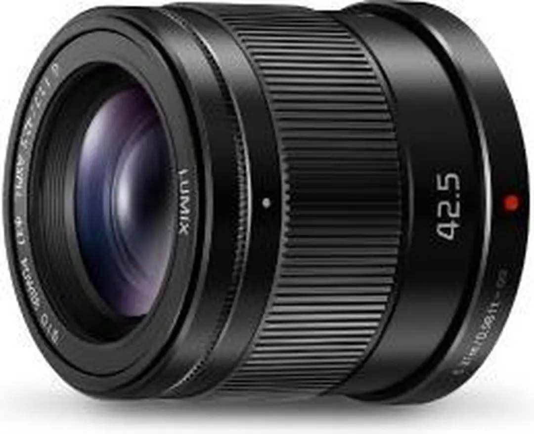 Panasonic H-HS043E MILC Telelens - Zwart