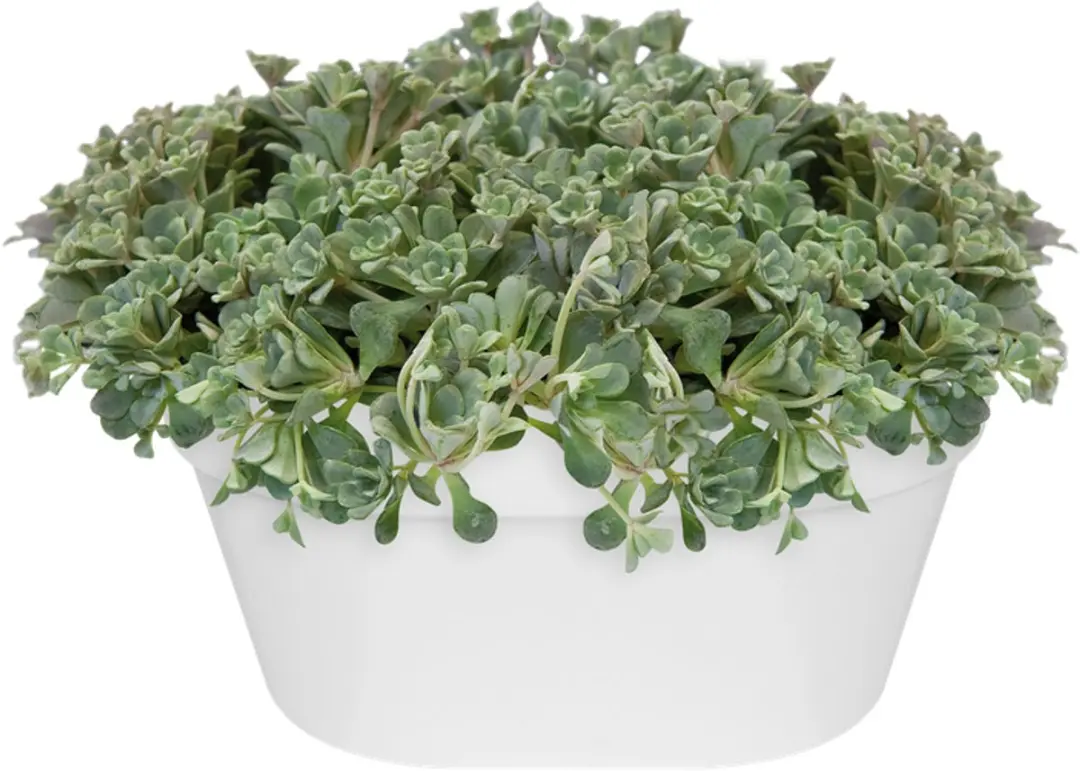 Elho Loft Urban Wandbak 40 - Plantenbak 8.3L Wit