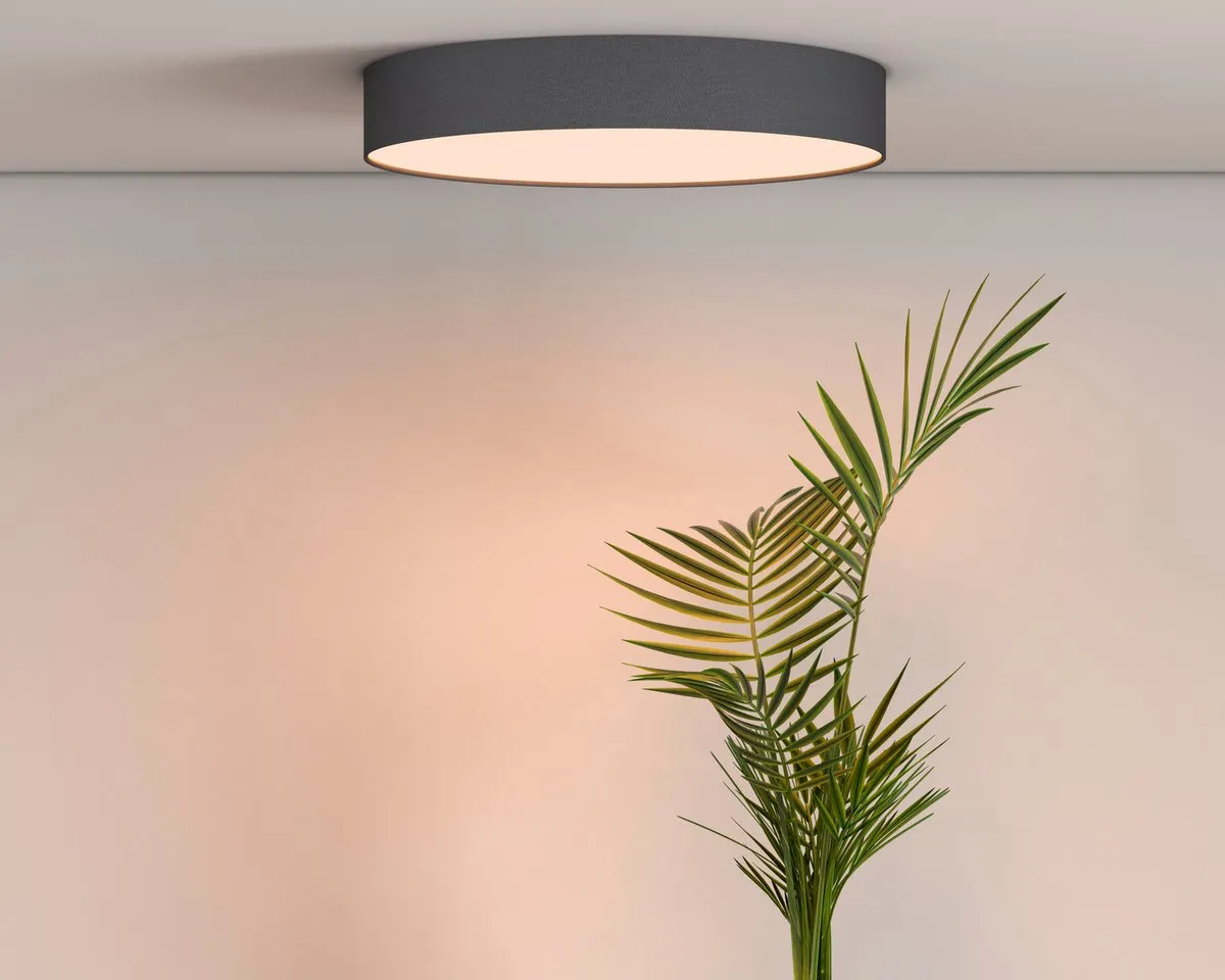 Calex Slimme Plafondlamp 30cm RGBW - Zwart