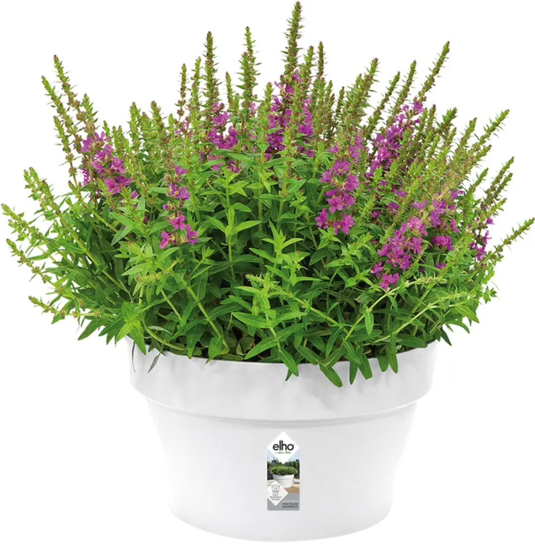Elho Loft Urban Schaal 35 Bloempot - 13L Wit