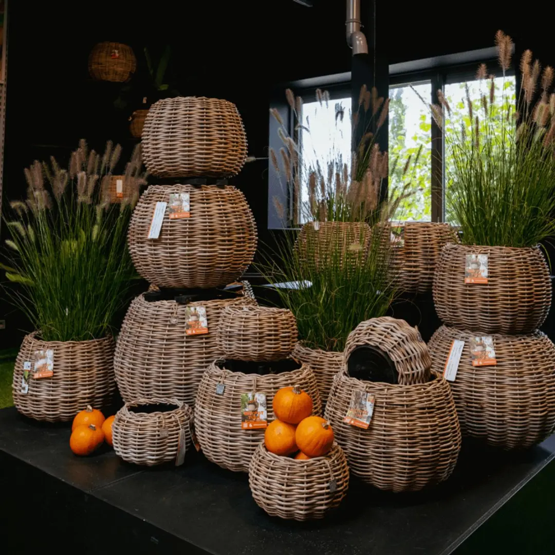 Van Der Leenden Plantenmand Rotan D45xH34cm - Drypot