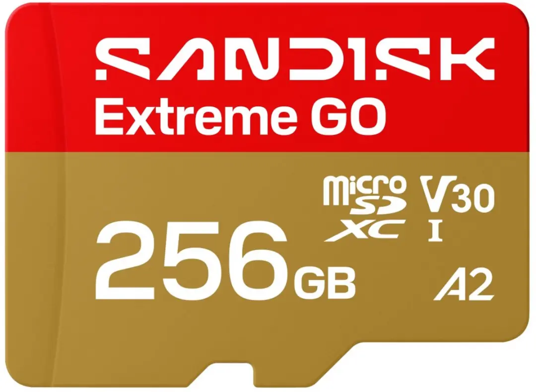 SanDisk microSDXC Extreme GO 256GB SDSQXGN-256G-GN6MN