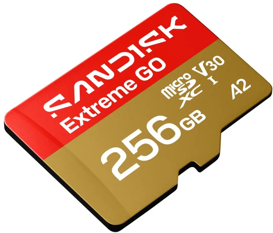 SanDisk microSDXC Extreme GO 256GB SDSQXGN-256G-GN6MN
