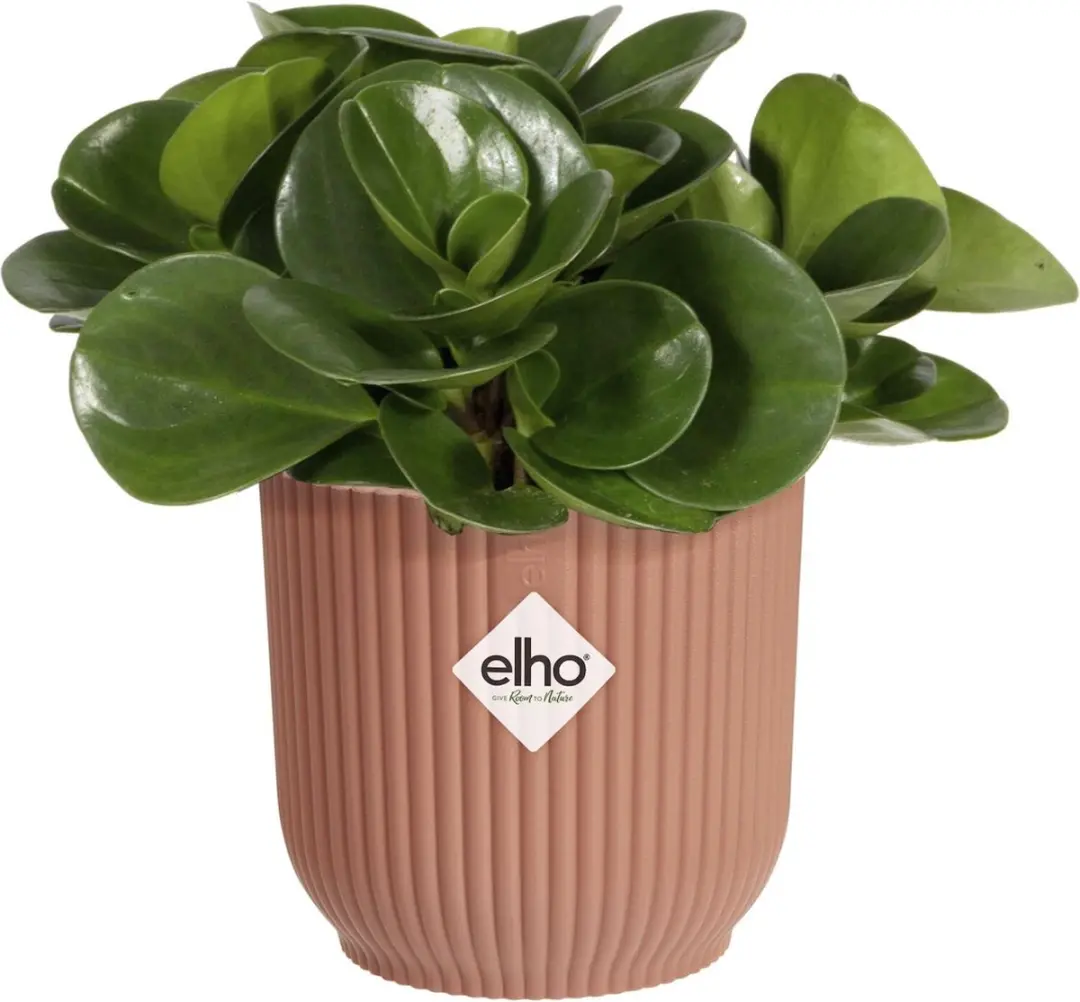 Elho Vibes Fold Rond Mini 7 Bloempot - 0,20L - Delicaat Roze