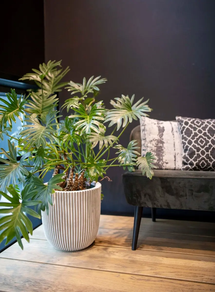 Capi Europe Groove NL Vaas 99L - Antraciet