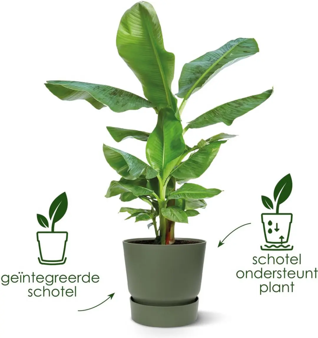 Elho Greenville Rond 30 Bloempot - Ø29.5cm H27.8cm Living Black