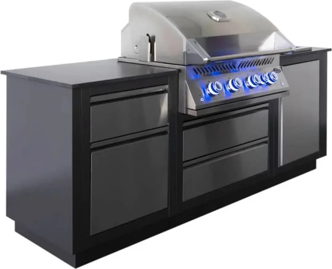 Napoleon Oasis Compact Buitenkeuken - 700-Series 32" RVS Inbouw - afbeelding 6 van 6
